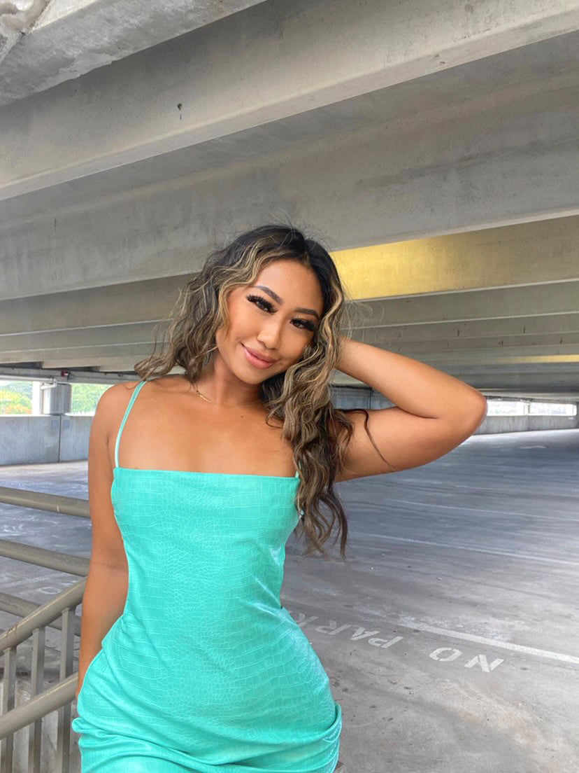 Laguna Beach Mini Dress